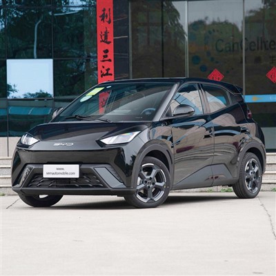 2024 BYD Seagull EV 405KM minibil