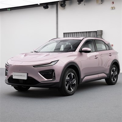 2024 Neta X Kompakt SUV