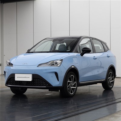 Neta Aya 401 Lite Fwd elfordon